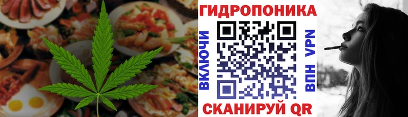 Canna-Cookies марихуана  Лахденпохья 