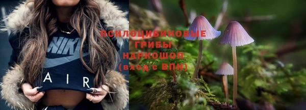 гидропоника Алексеевка