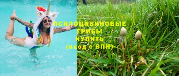 таблы Алексин